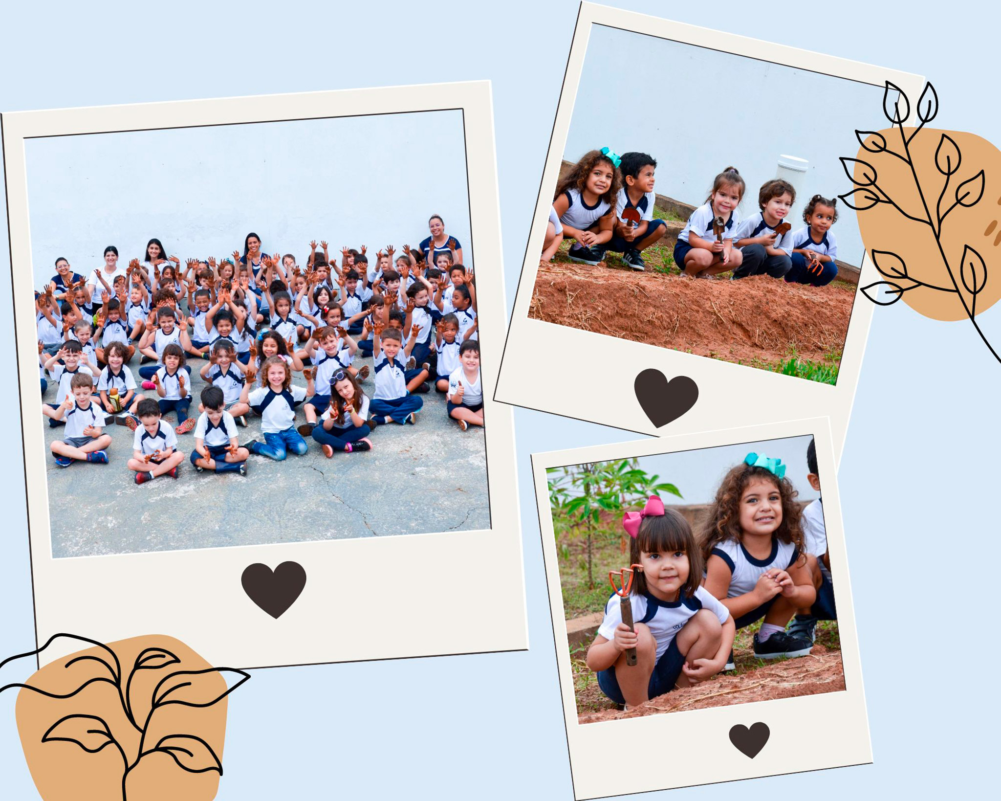 Projeto Horta – Educação Infantil